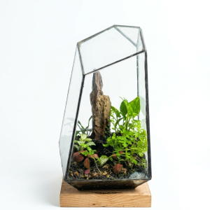 modern geometric prism terrarium