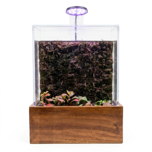premium vertical moss wall vivarium with integrated led
