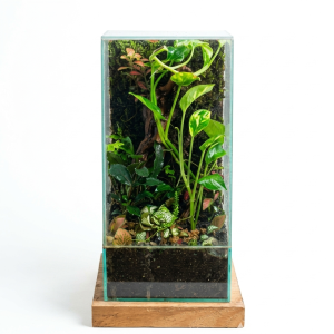 tall vertical living wall terrarium – premium desktop forest