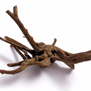 driftwood