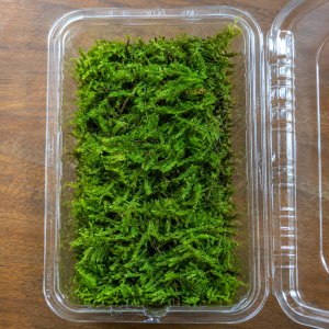 fress sphagnum moss size 8x16