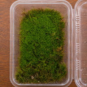 sheet moss pot size 8x16