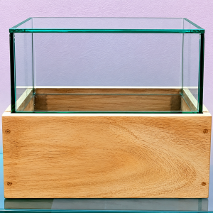 terrarium glass and wooden box jar