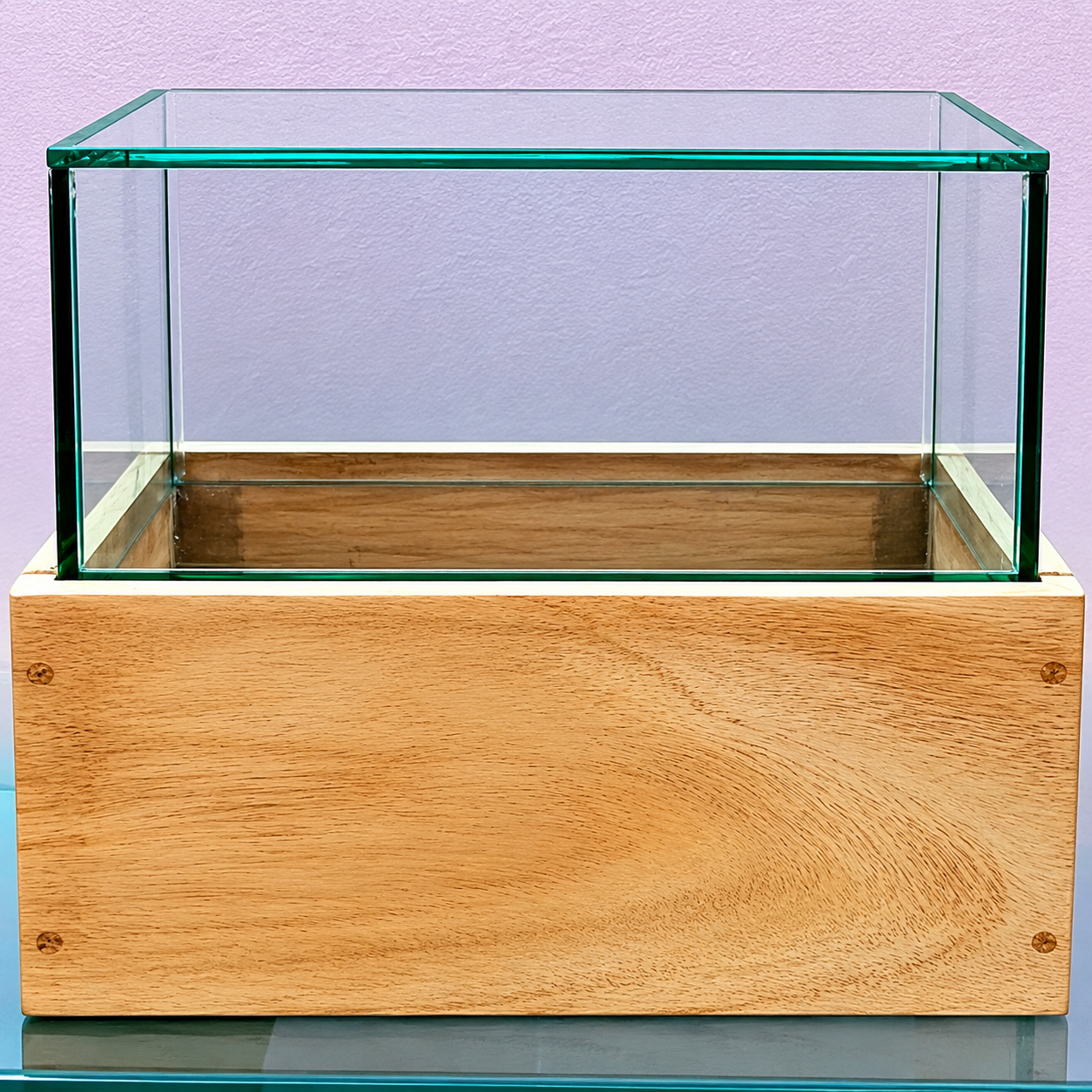 terrarium glass and wooden box jar terrarium glass and wooden box jar