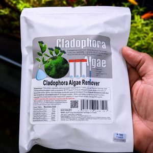 cladophora algae remover