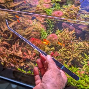 curved tweezers