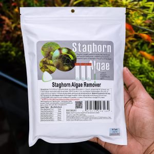 staghorn algae remover