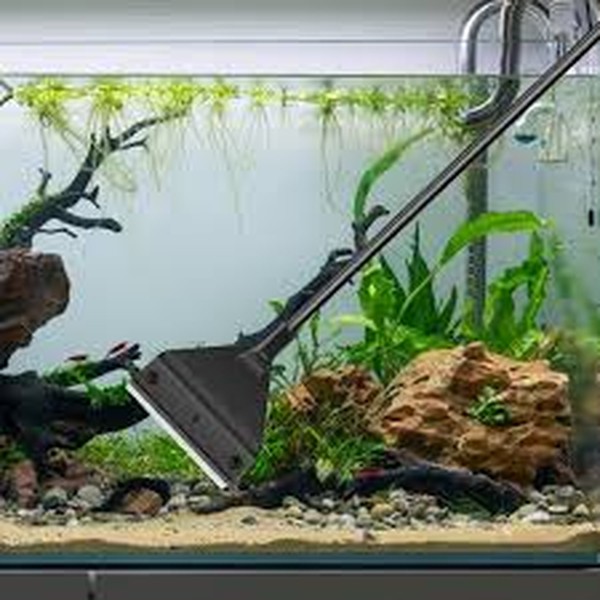 aquarium algae scraper 42cm aquarium algae scraper 42cm