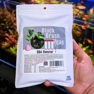 black brush algae remover