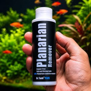 planarian 100 ml