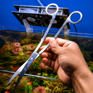 wave scissor